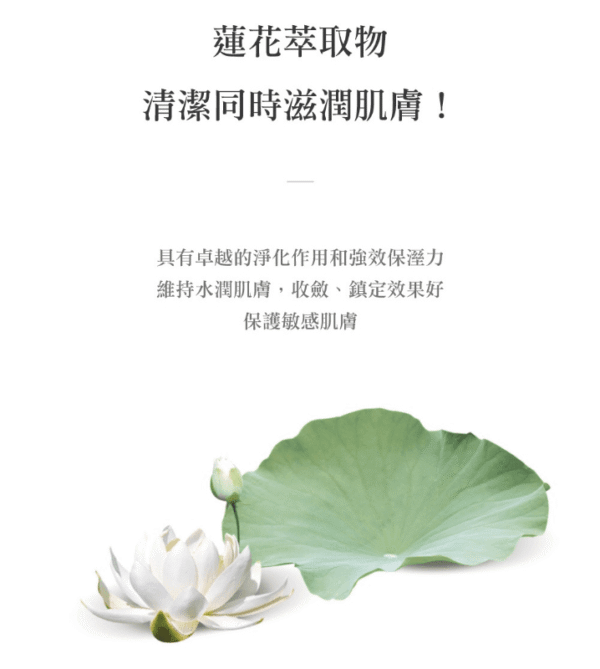 韓國ENBLANC 銀離子抗菌 輕厚蓮花 有蓋隨身包純水濕紙巾(24抽) 12入_箱-10 【韓國 ENBLANC】銀離子抗菌輕厚蓮花 有蓋隨身包純水濕紙巾